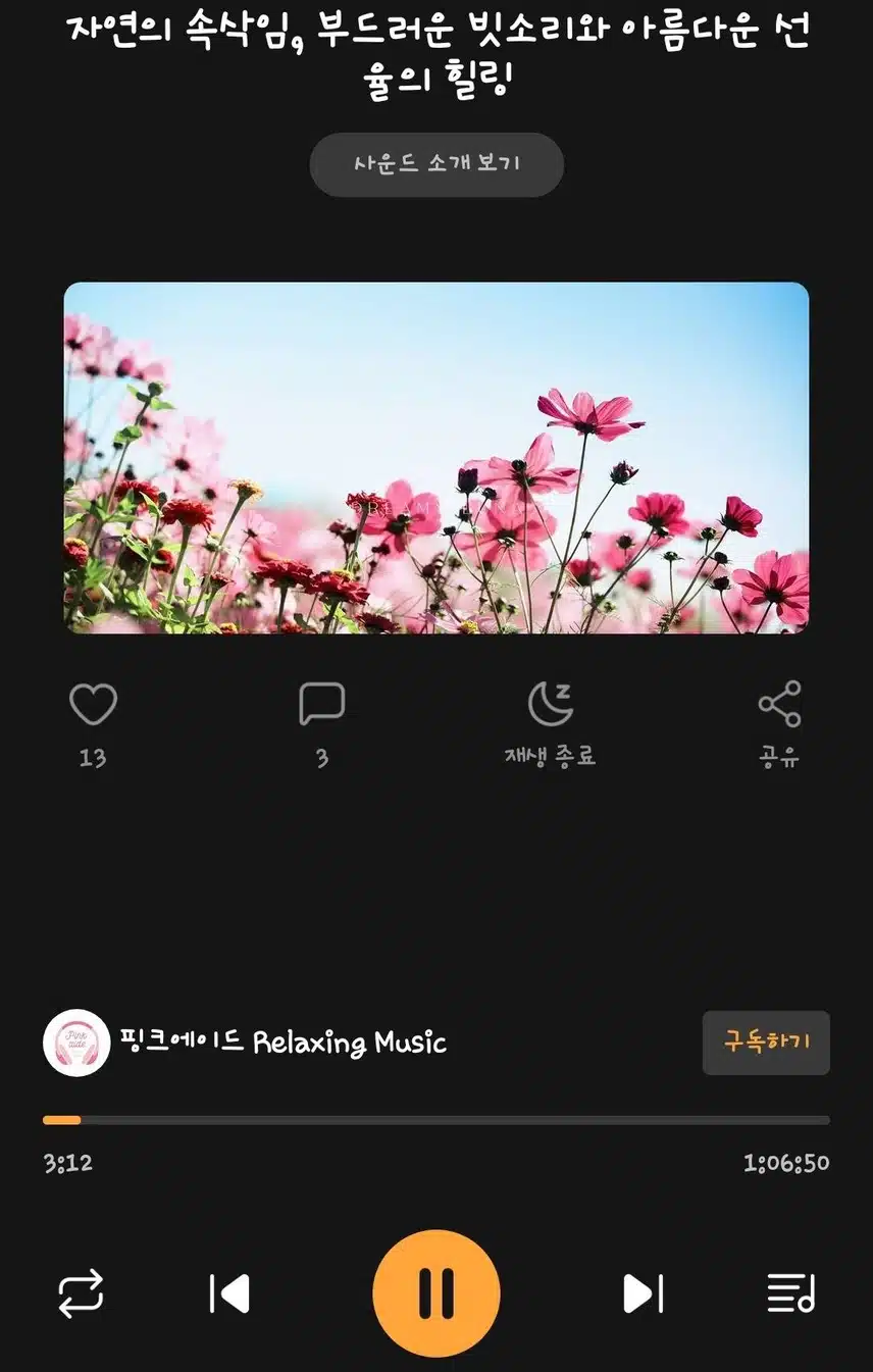 힐링 그잡채