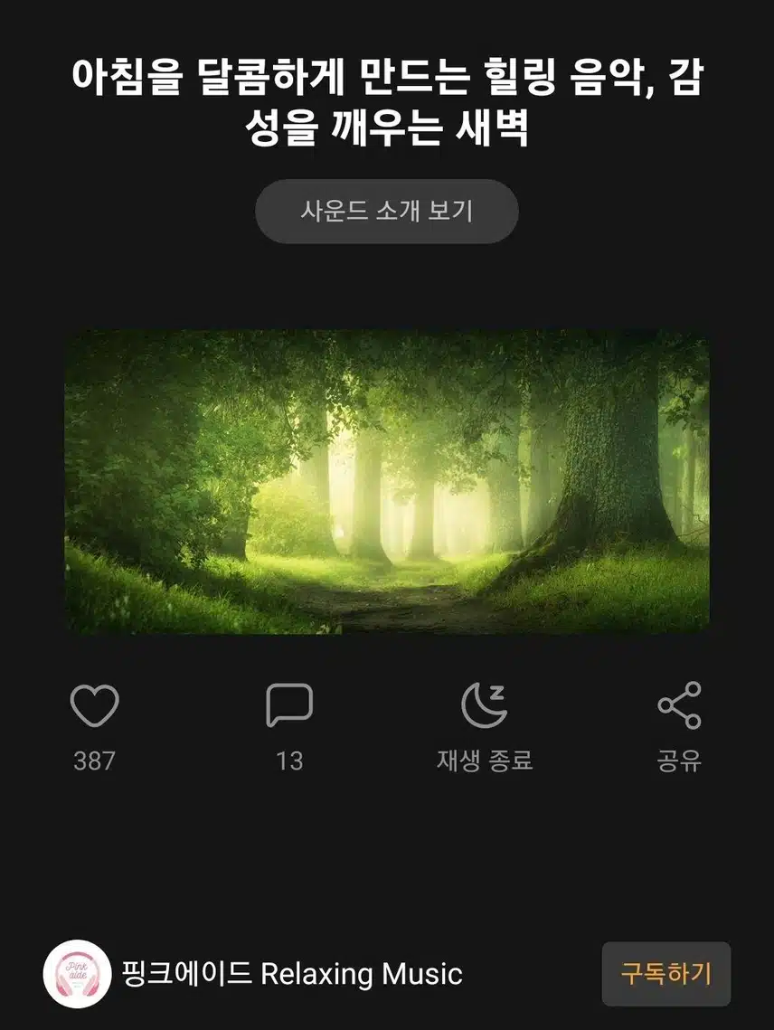 독서할때 듣는 핑크에이디님 노래!