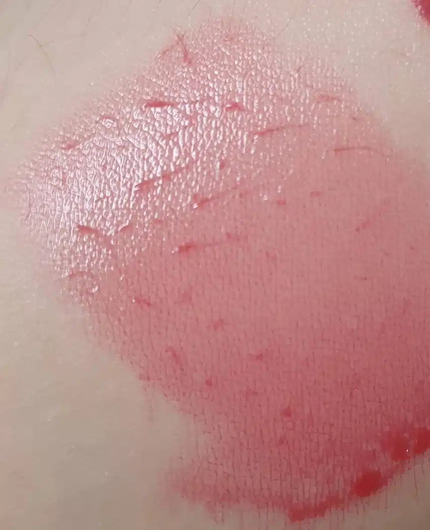 쿨톤이면 무조건 사야하는  립모음