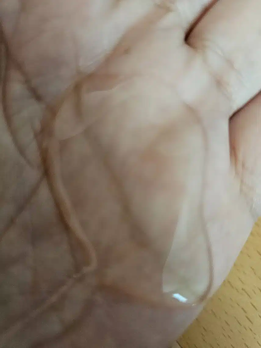 하루를 기분 좋게 해주는 향기