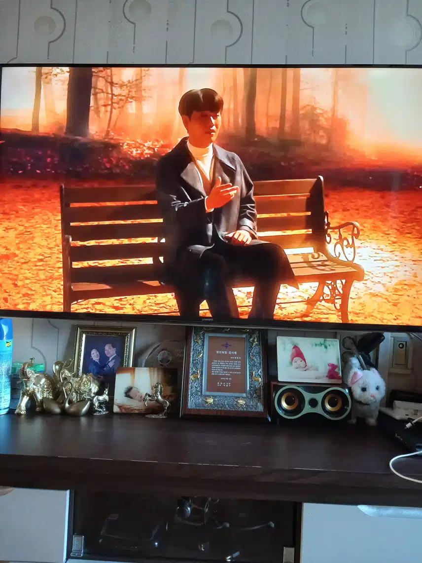 팬마음 