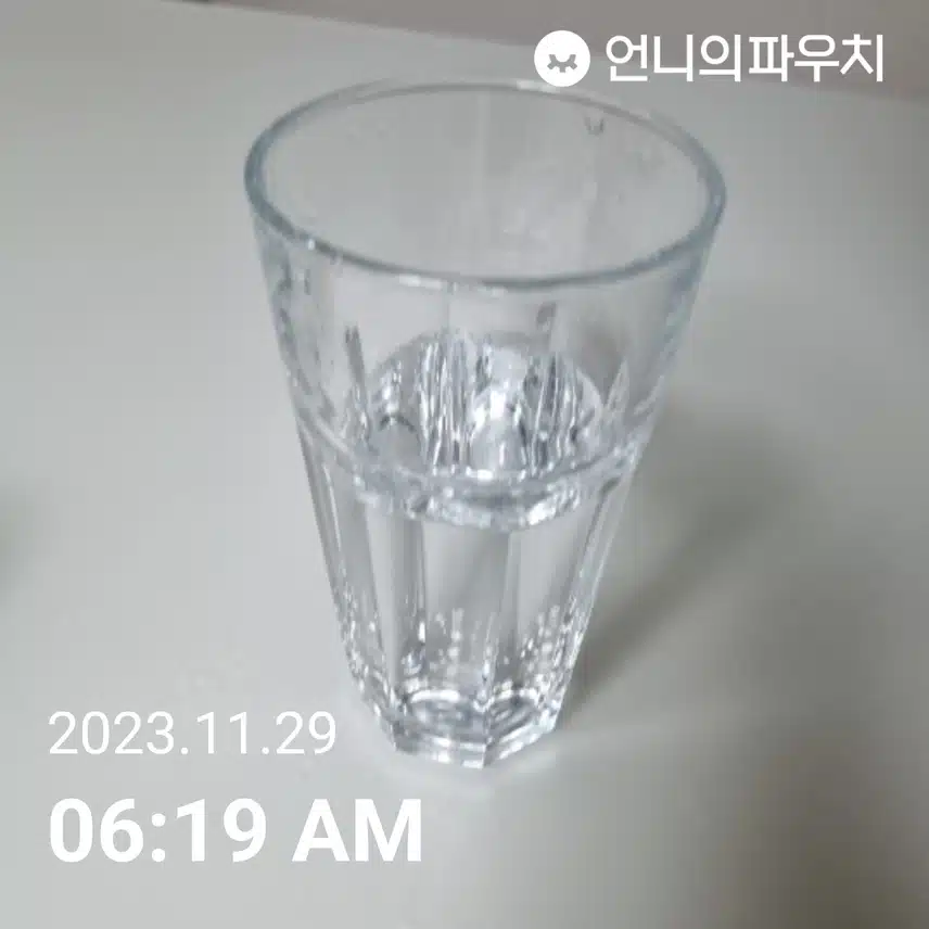 수- 물모닝