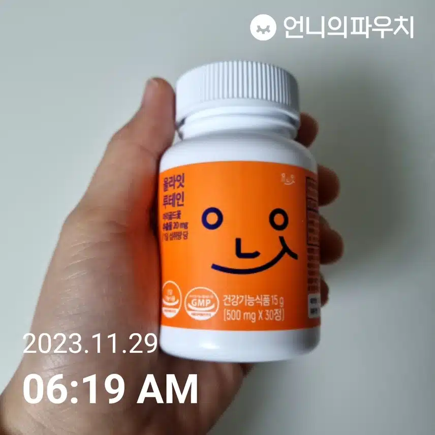 수- 루테인 