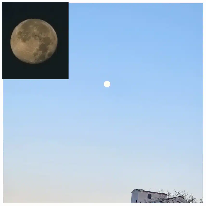 오늘 아침 달님 (오전 7:30)
