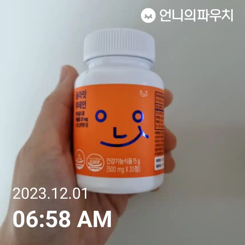 금- 루테인 