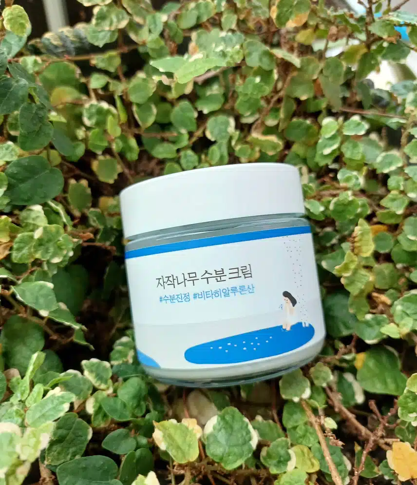 속건성피부에 굿~~!! 자작나무(내돈내산)