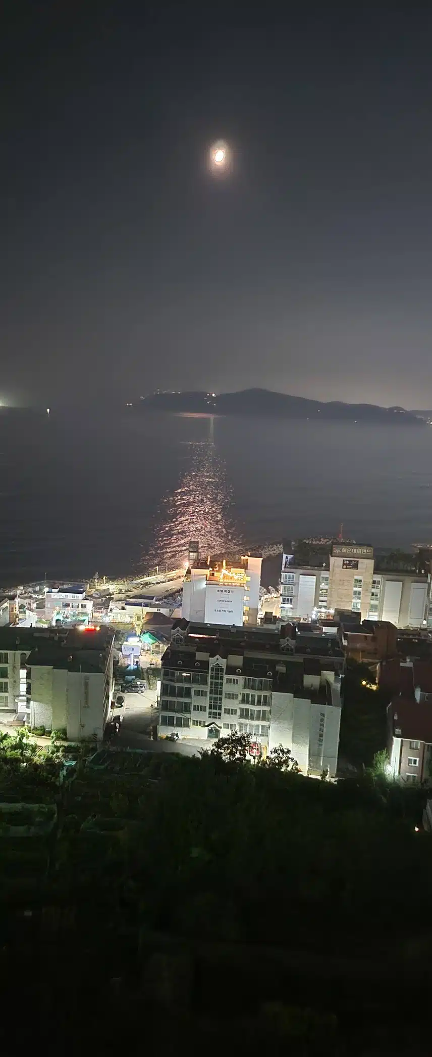 참여합니다