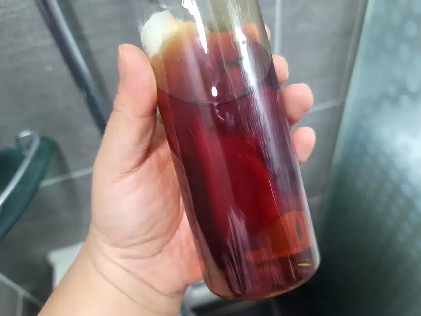 12/3(일)미친스킨 맥주효모 샴푸
