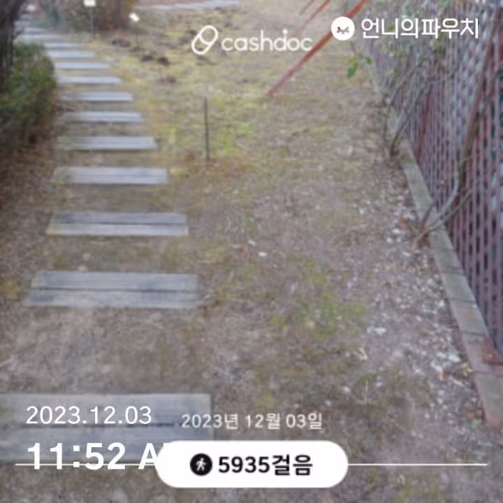 전반전 오천보 걷기로 시작합니다.