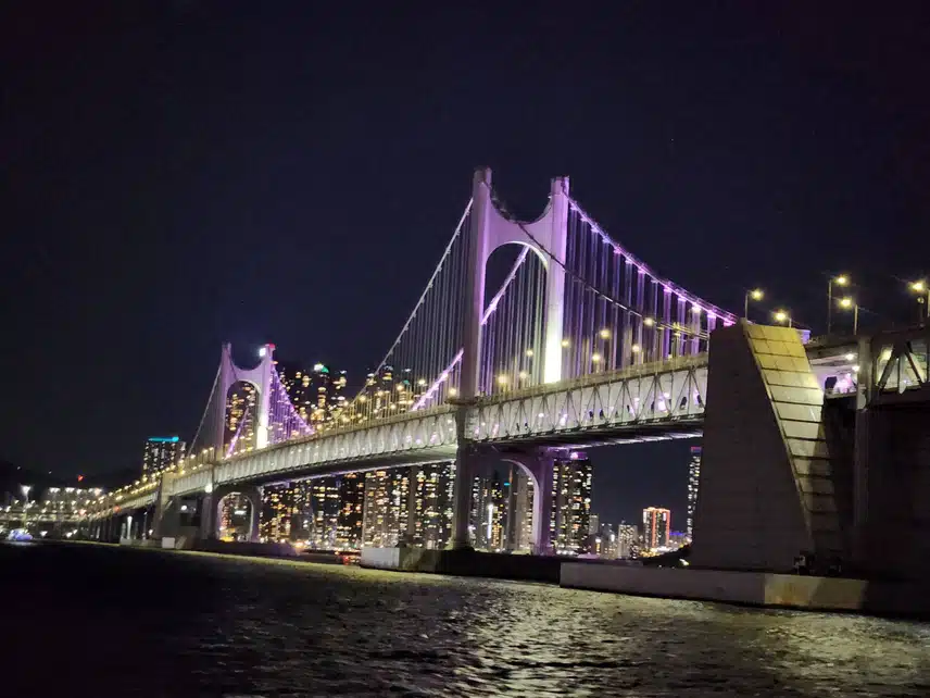 황금날개
