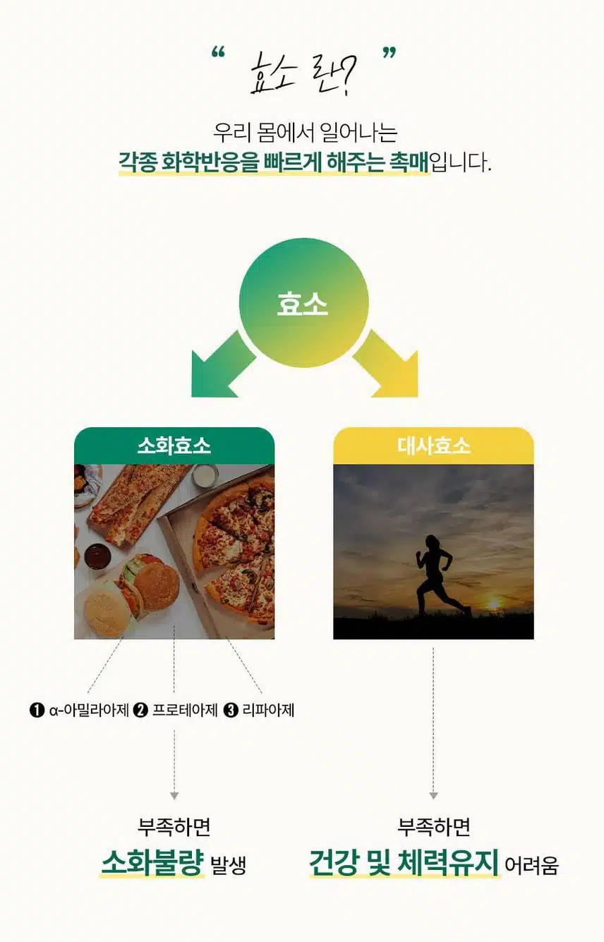 [추천] 파인올로지 효소!! 추천합니다.