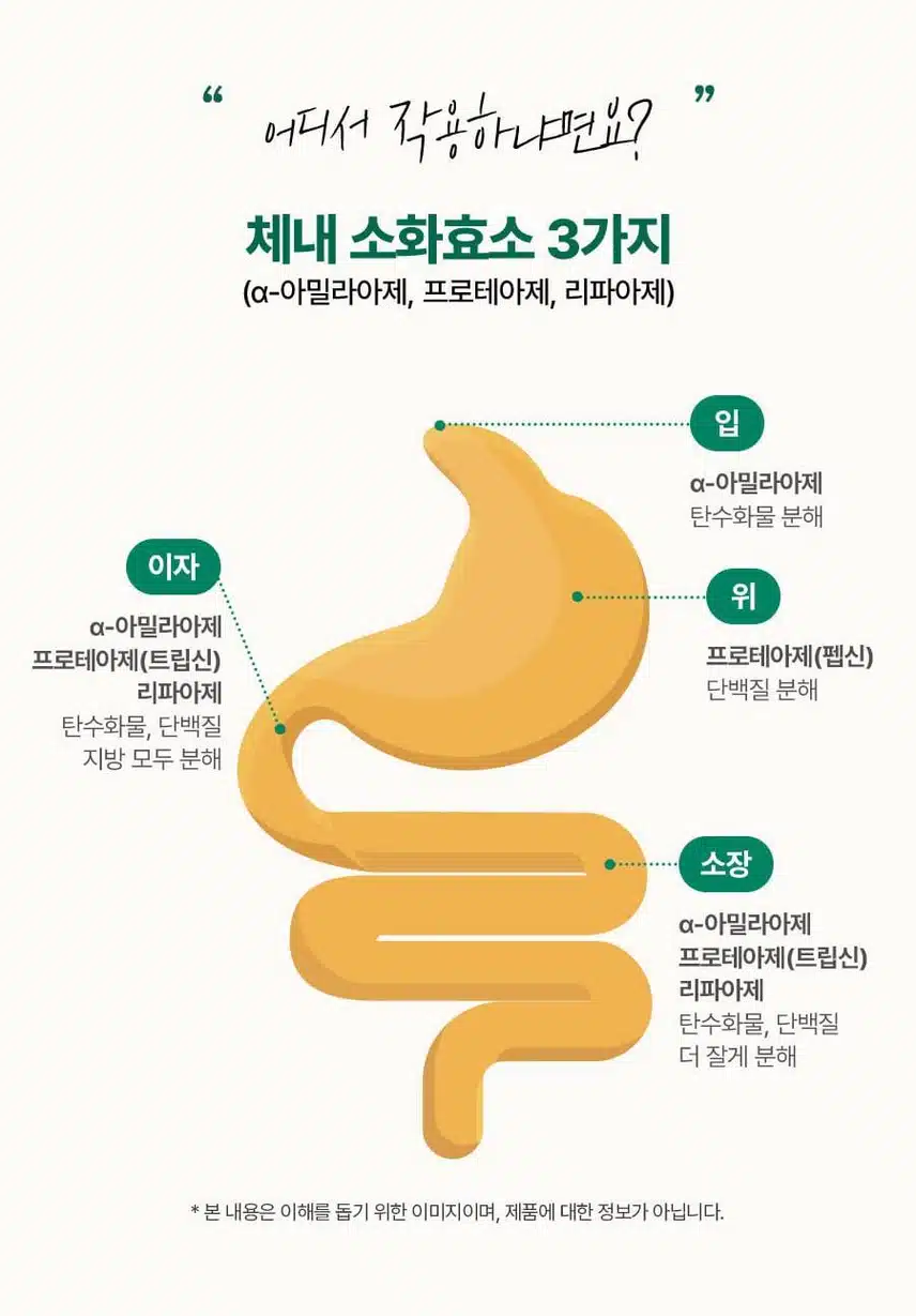 [추천] 파인올로지 효소!! 추천합니다.
