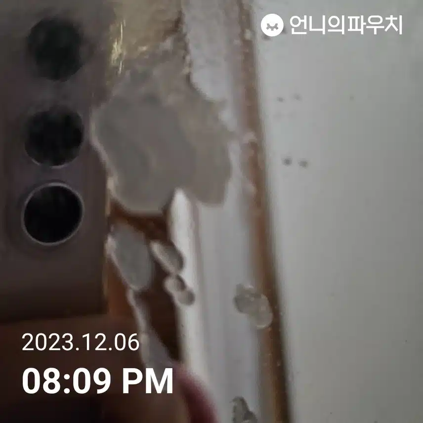 (내돈내산) 헤어플러스 단백질본드 워터 에센스 