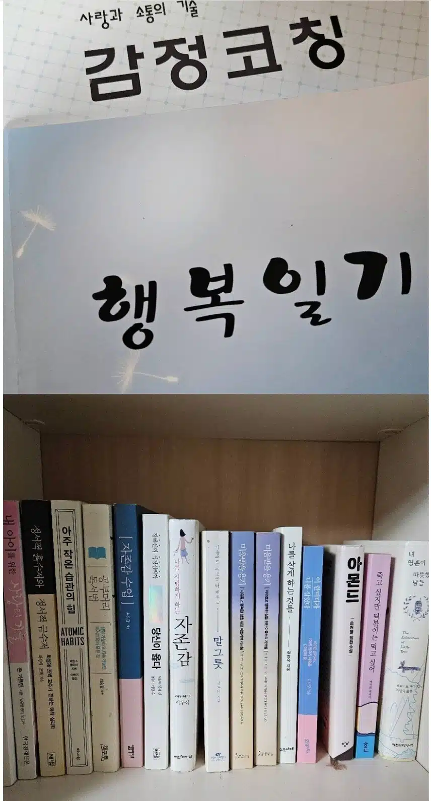 [우울증] 삶에 대한 회의감이 들때