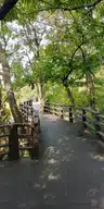 board-img