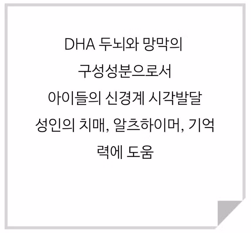 효과보고 믿고 먹는 