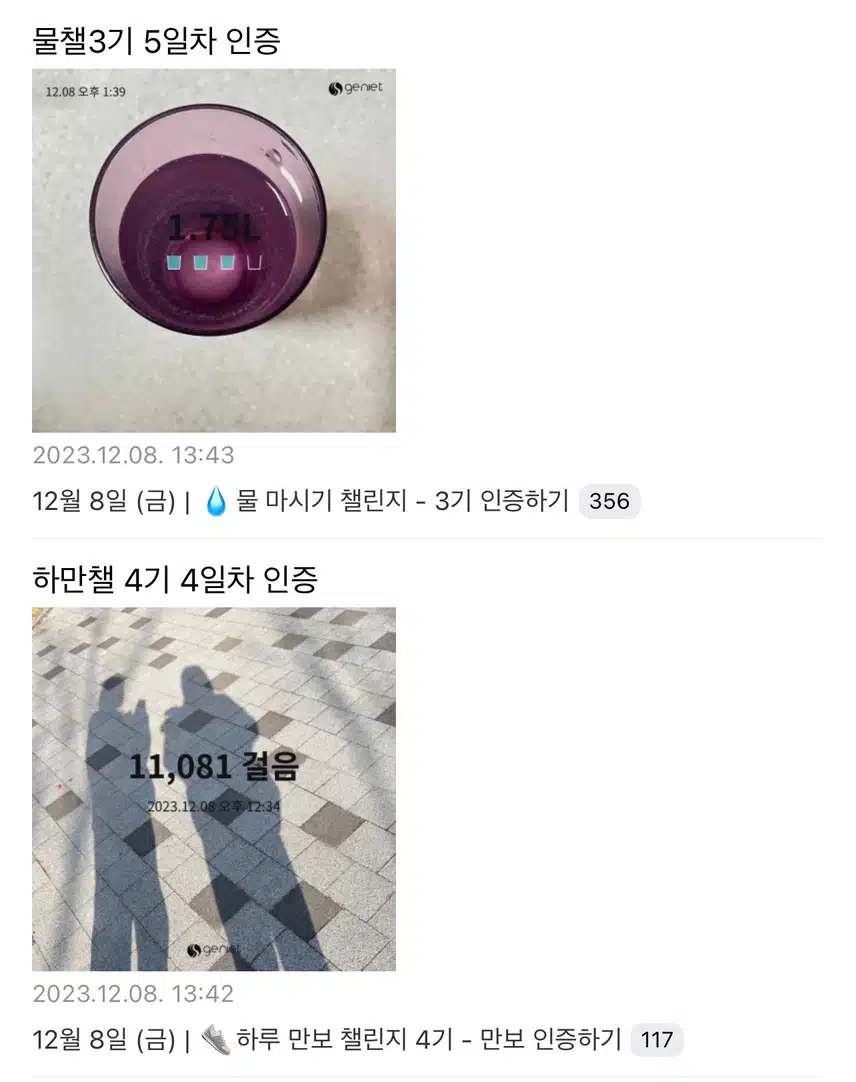 탐나는 오늘 8회차(12/8) - 매일 인증하는 챌린지 챙기기!