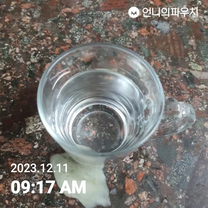 물로 하루를 시작합니다 ㅎ