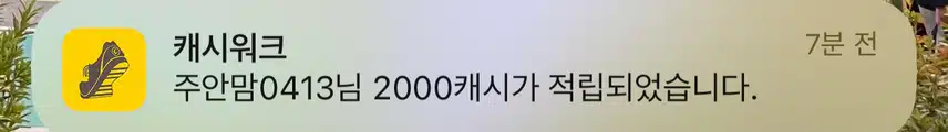 마음챌 리워드