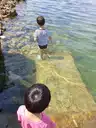 board-img