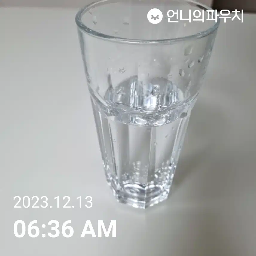 수- 물모닝