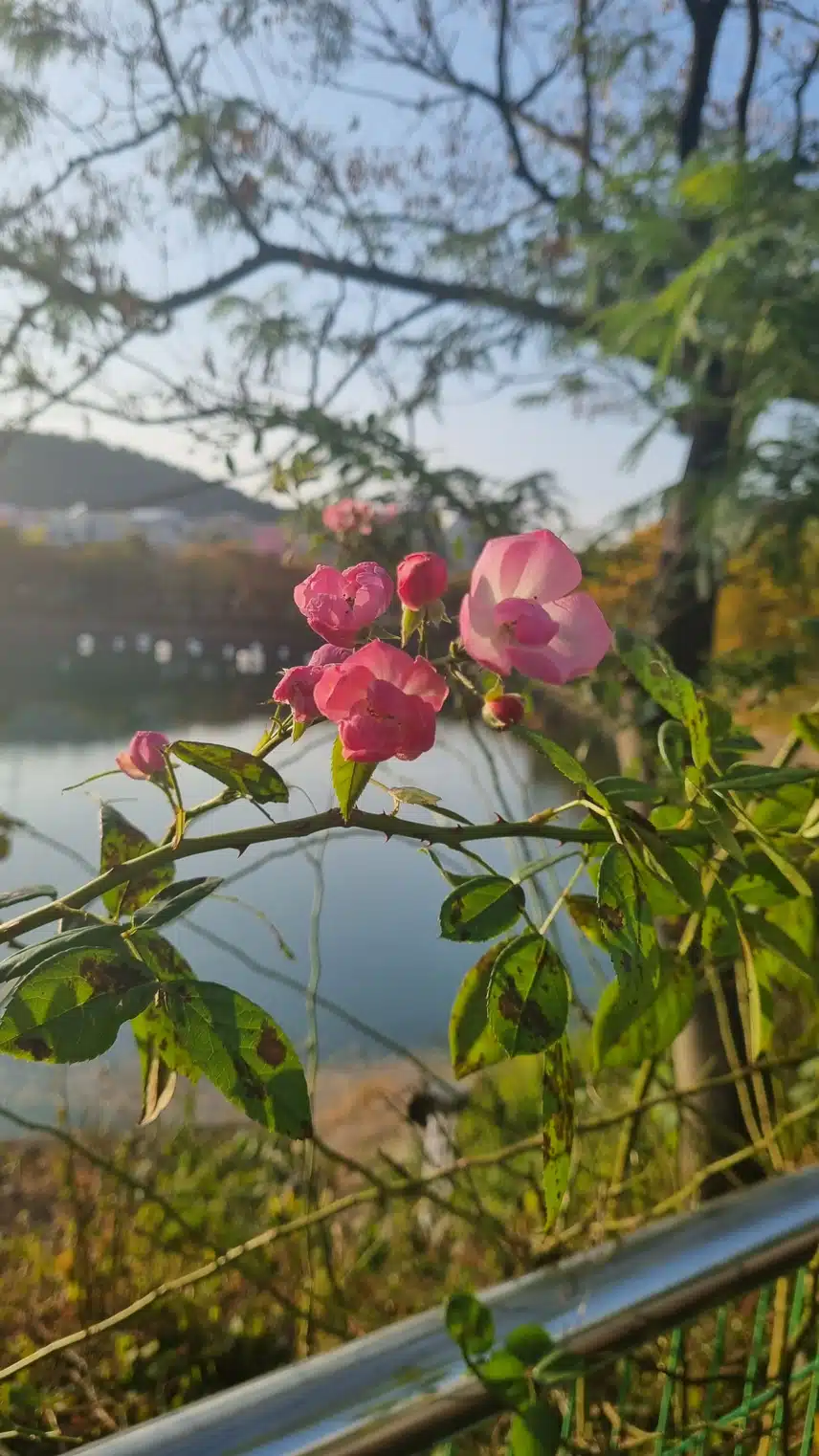 오늘 날씨가 더운것 같아요ㅜㅜ