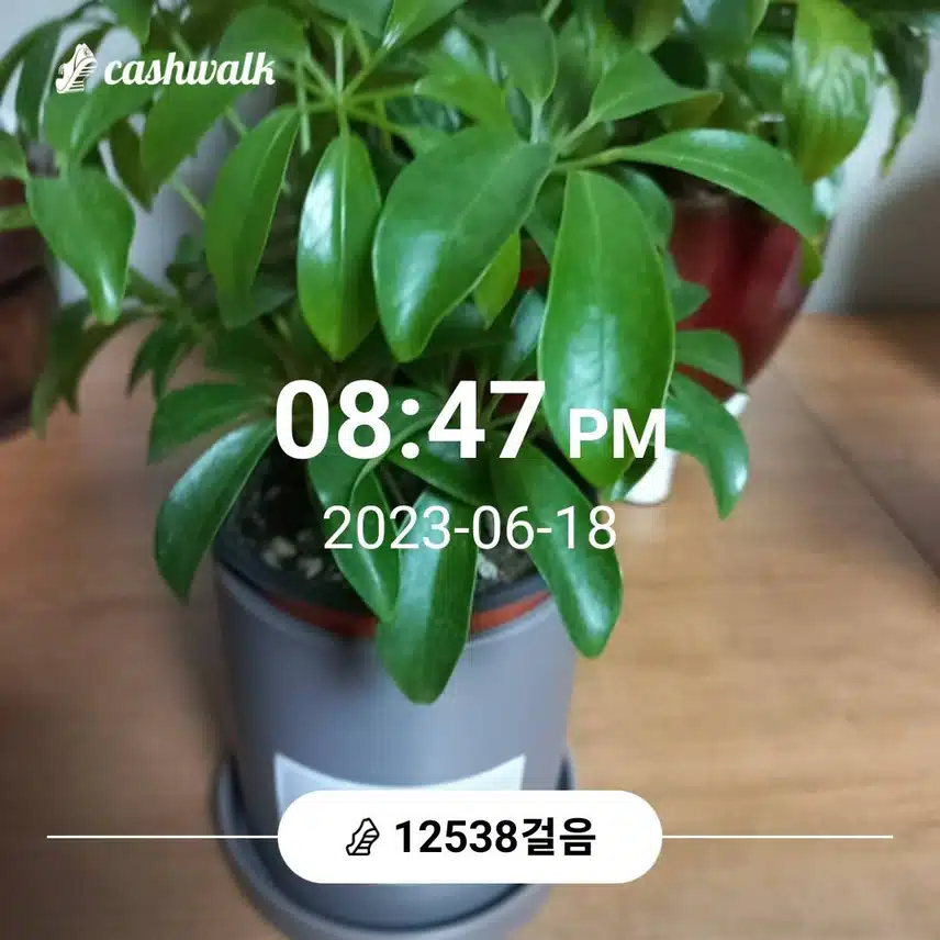 운동하면 정말 체지방 감량 효과가 있을까요?