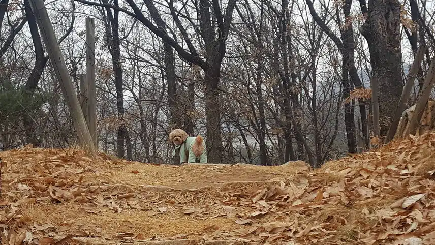 삼성산 공원