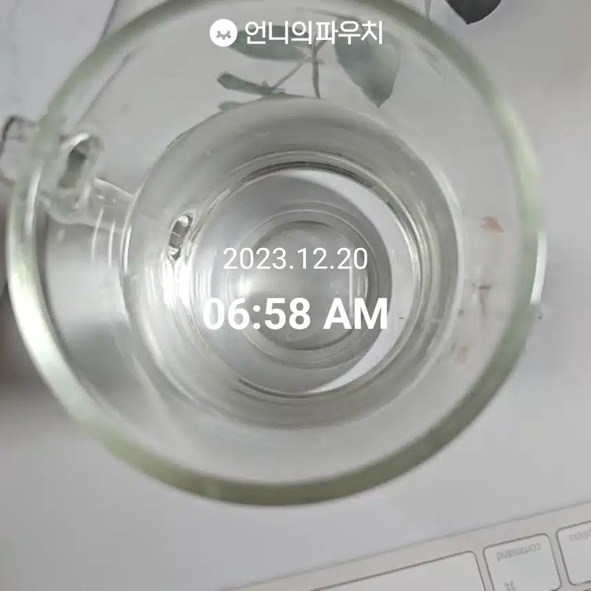12월 20일 물마시기 