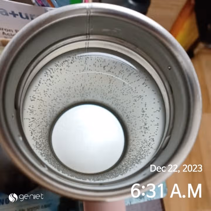 공복에 물 한잔