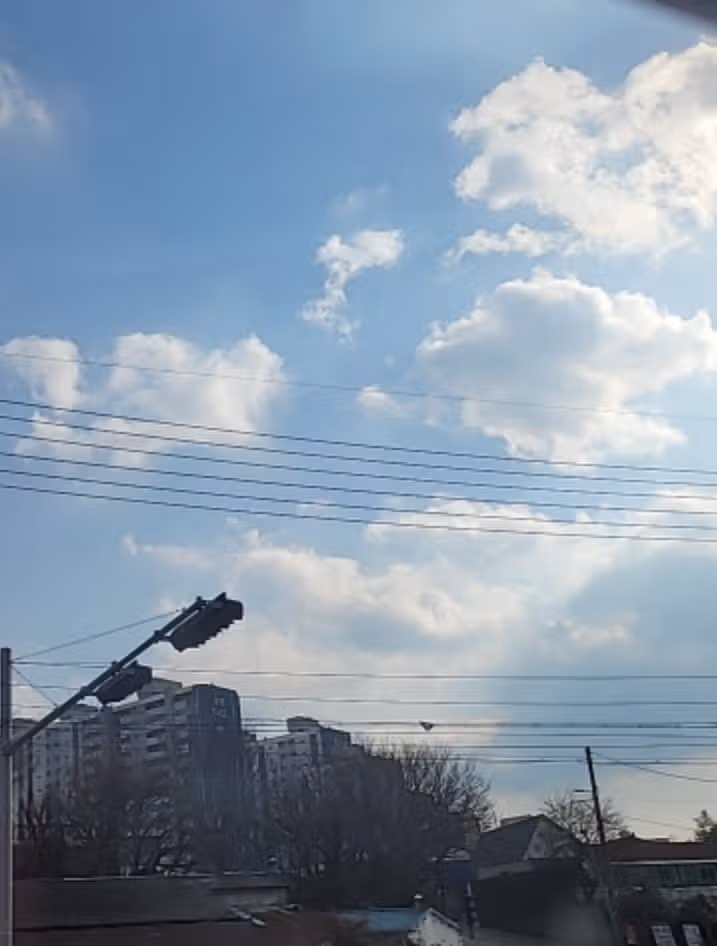 나도 그런거 였구나.  공황장애...