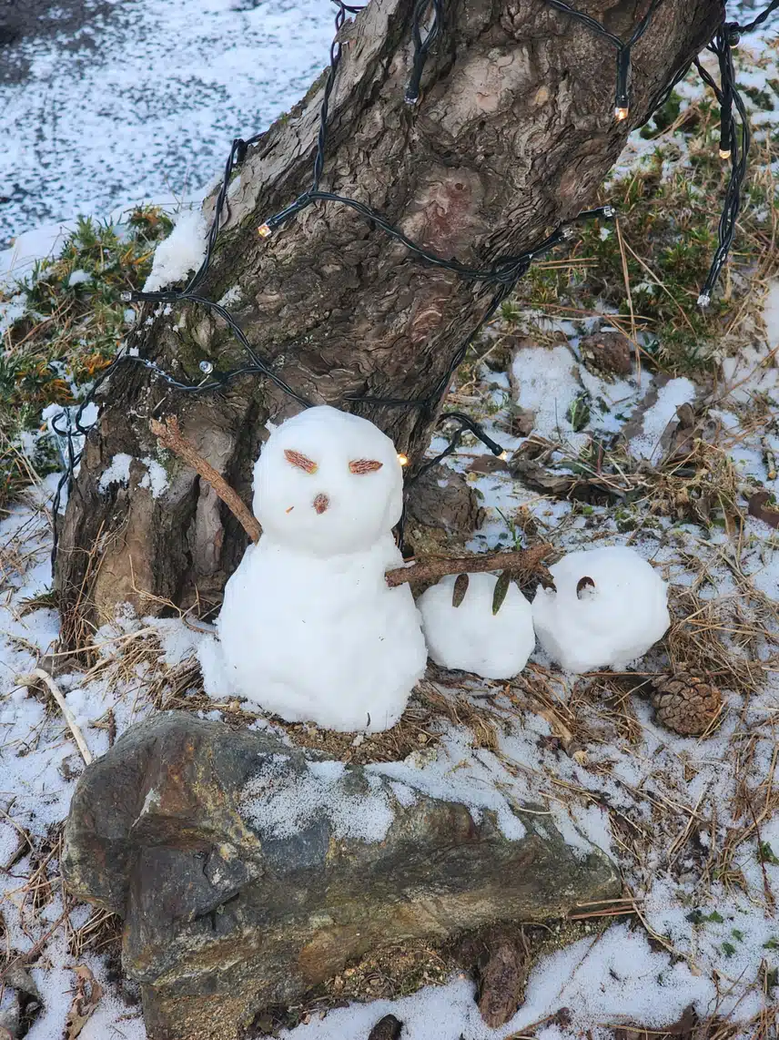 눈사람이요~