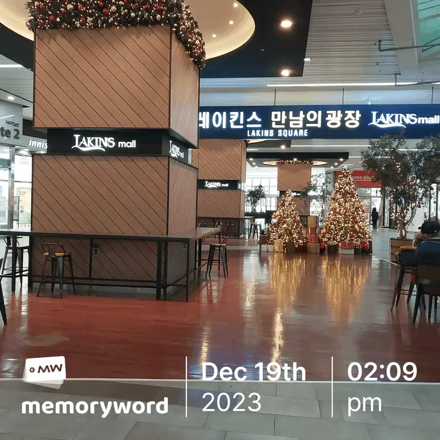 12월의 거리풍경