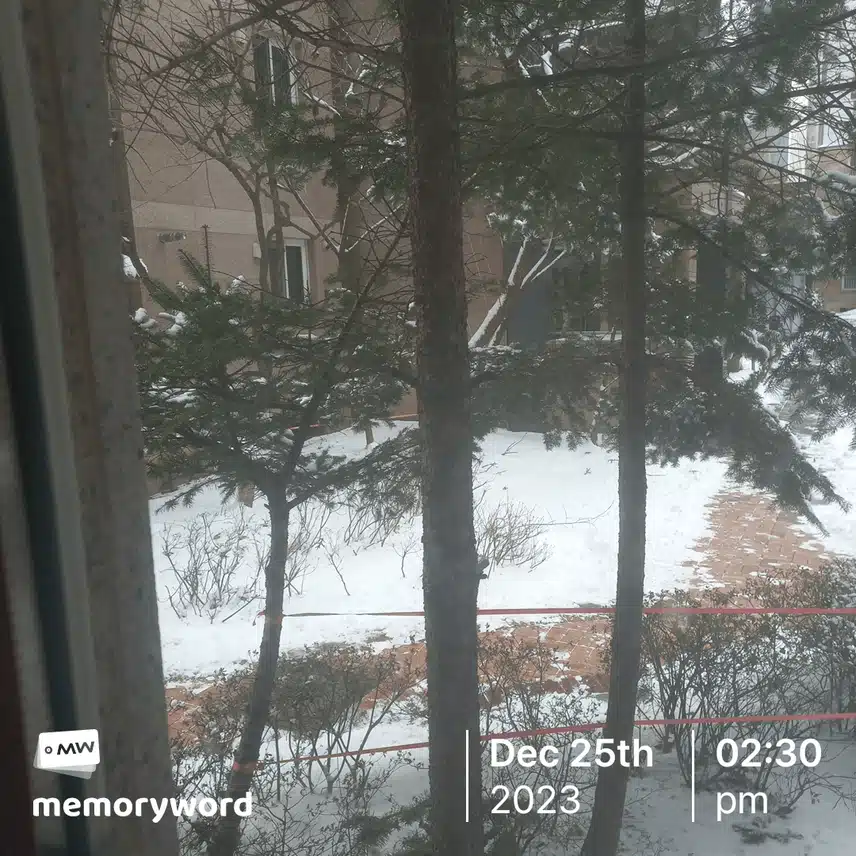 화이트 크리스마스 🎄 