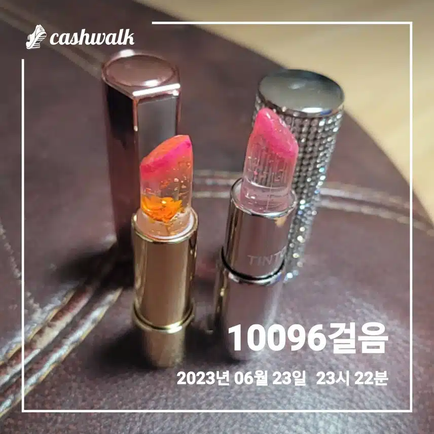 내돈내산 립메이크업