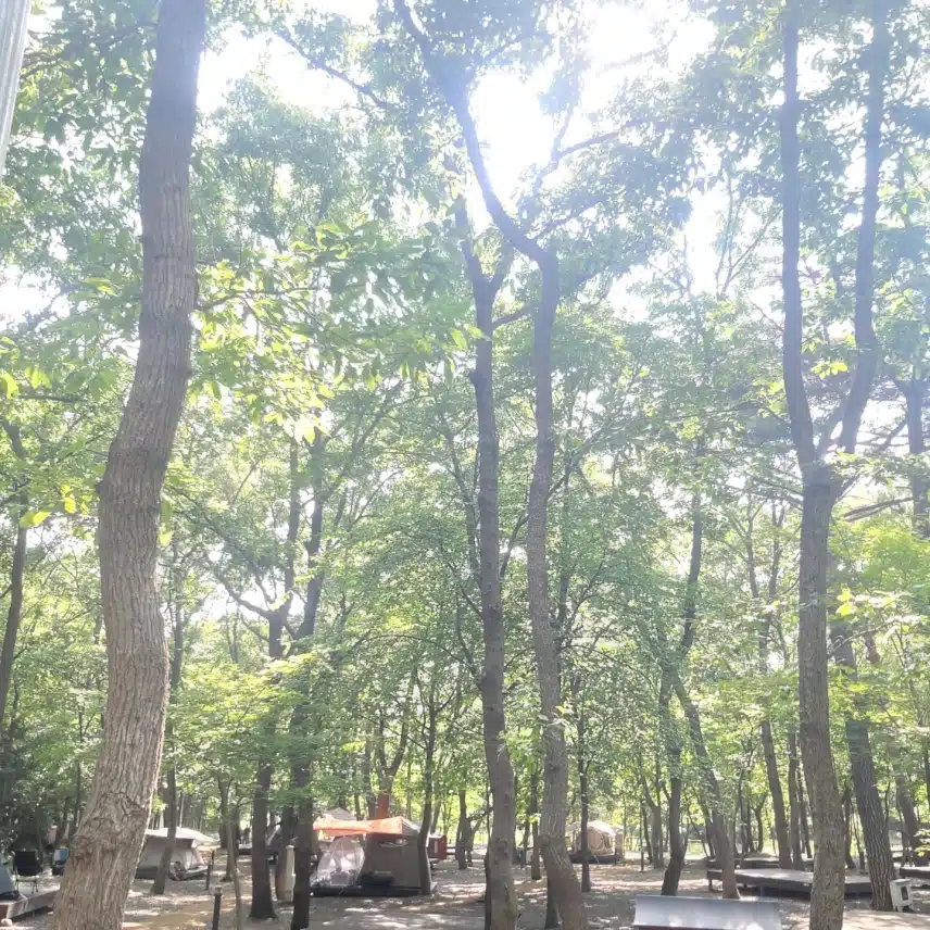 2박3일 캠핑