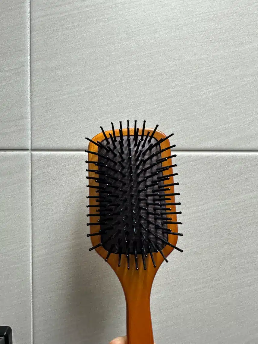 빗질해주기