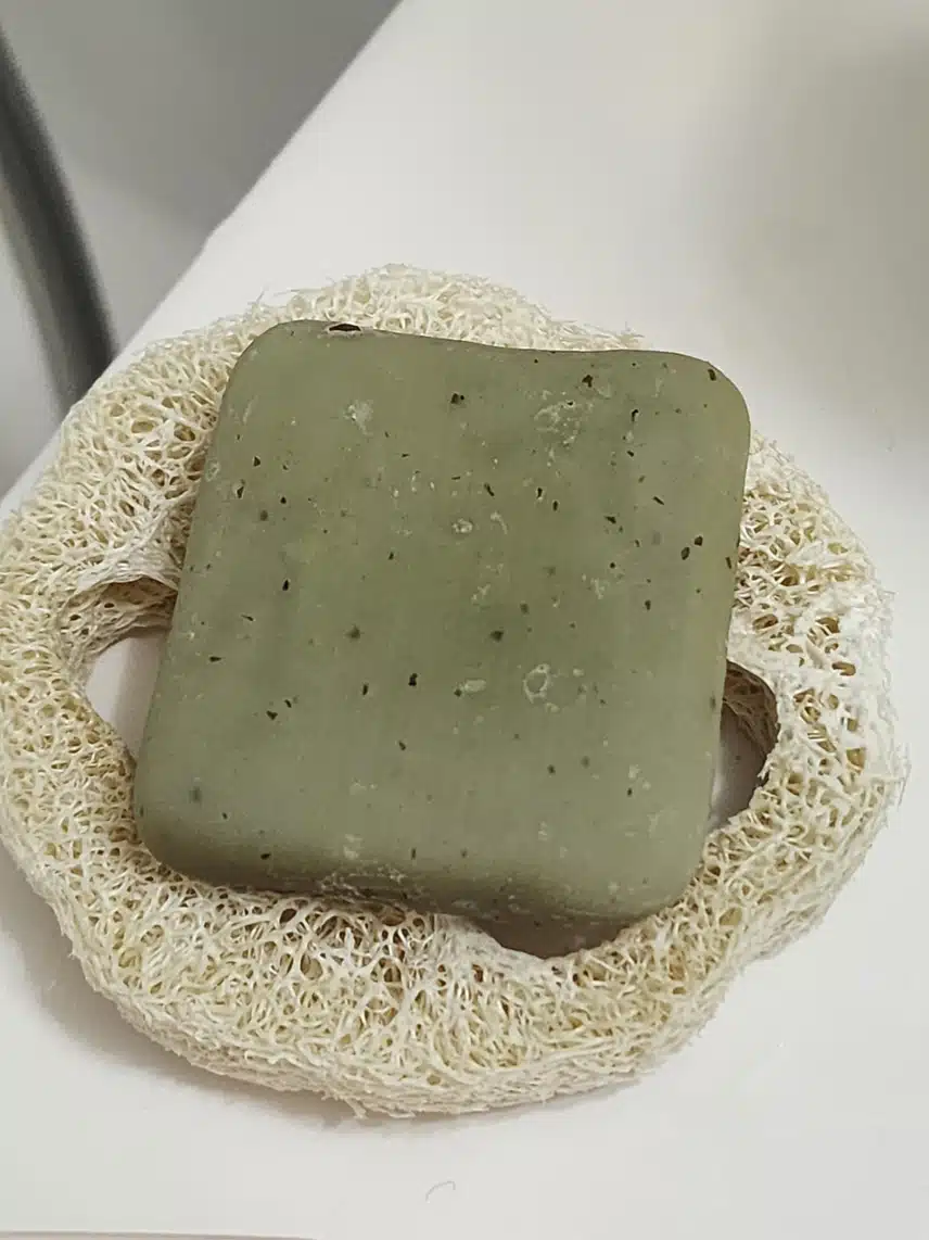 오늘은 샴푸바🧼
