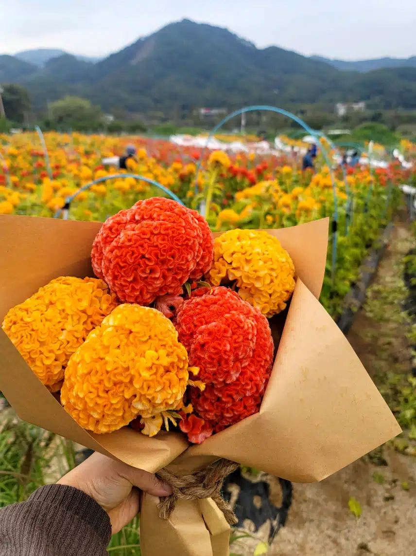 ♡ENFP가 받고싶어하는 선물🎁♡