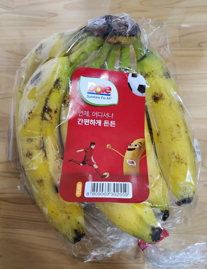 1월4일 가계부ㅡ즐거운 브런치