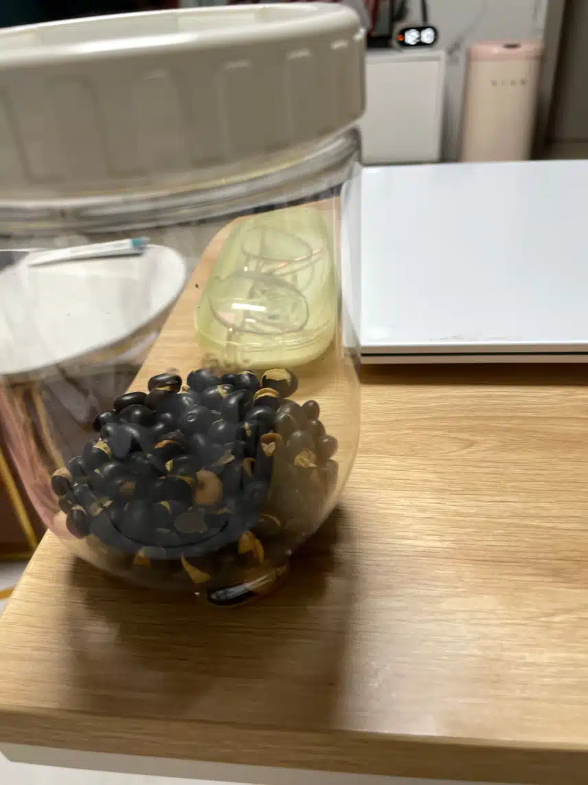 다이어트 간식 콩!