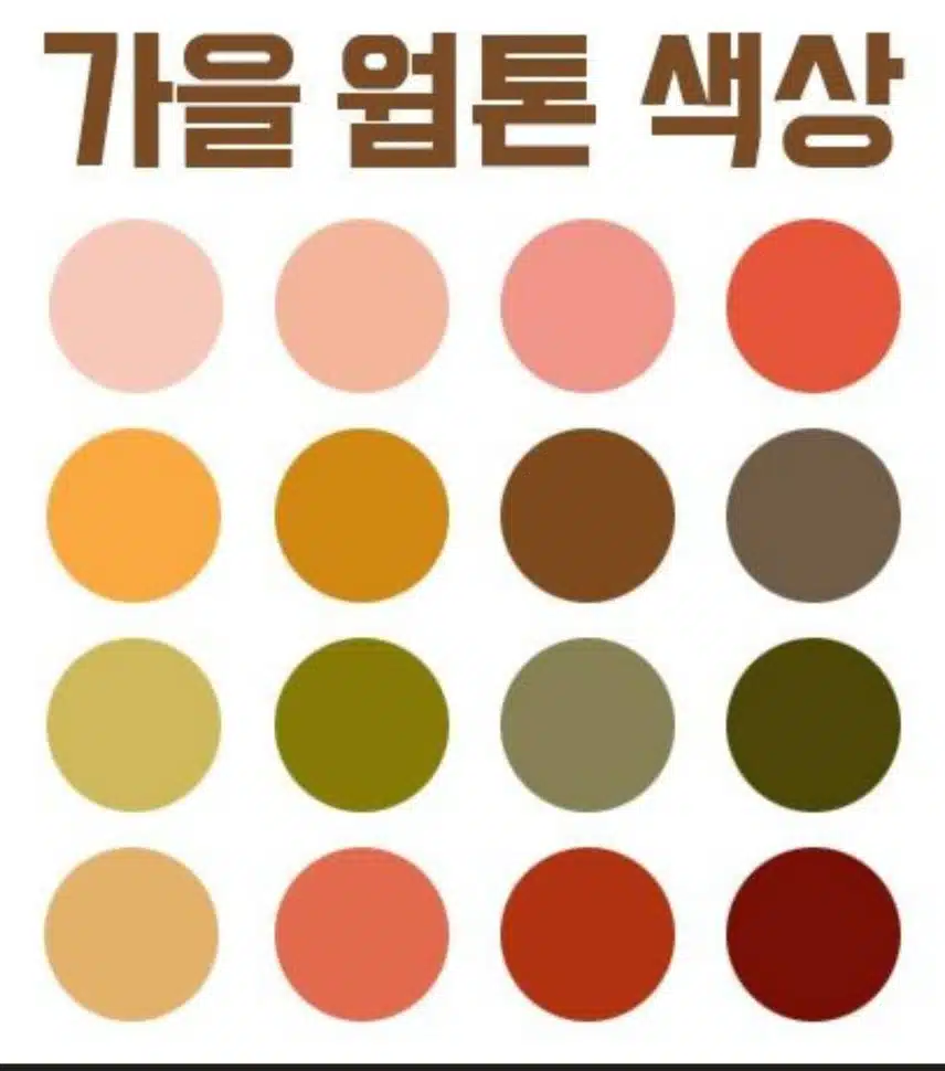 가을웜톤컬러