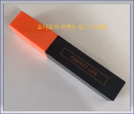 지속력 좋은 토니모리 퍼펙트 립스 쇼킹 립