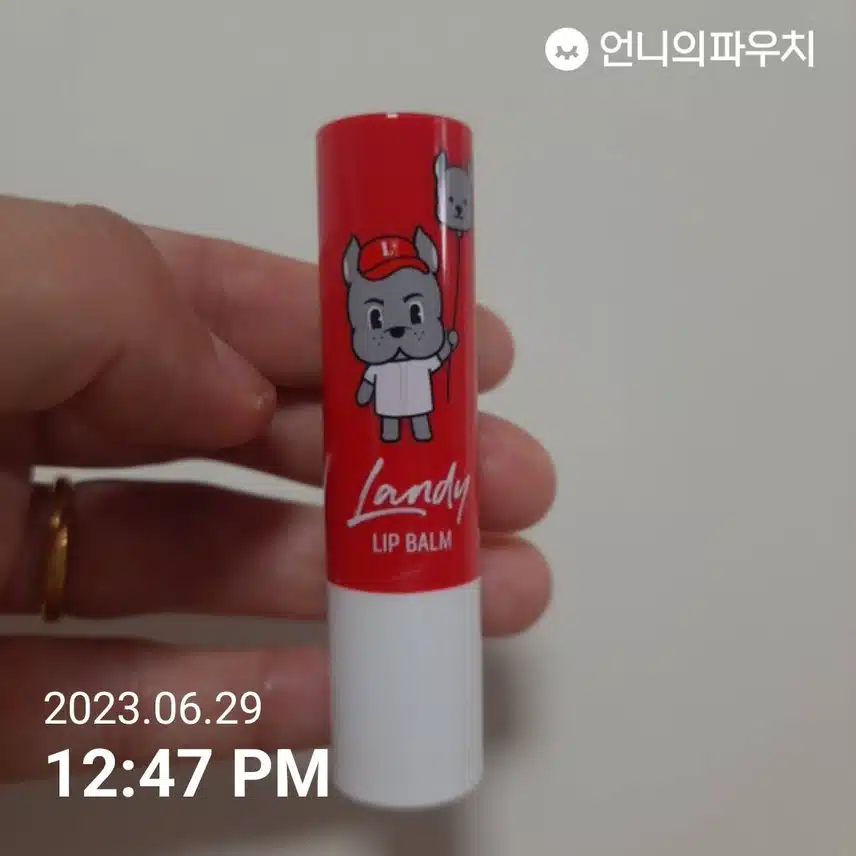 립밤도 틈틈히 바르기