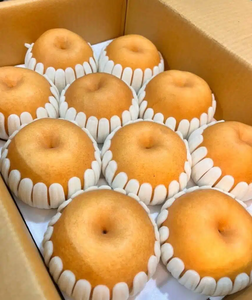 🥰 꿀팁 🥰 수삼과 배의 콜라보~~면연력증진에 최고예요👍