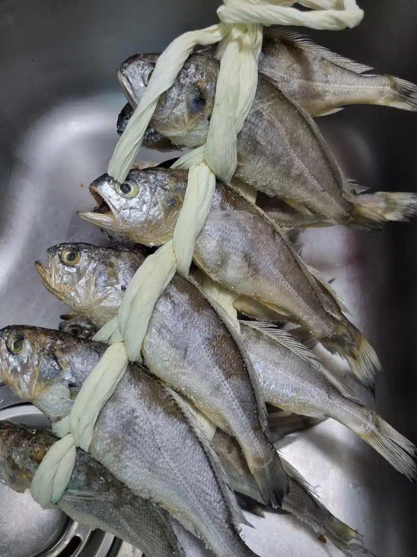 수산대전할인 20% ...영광참조기 1.8KG 후기