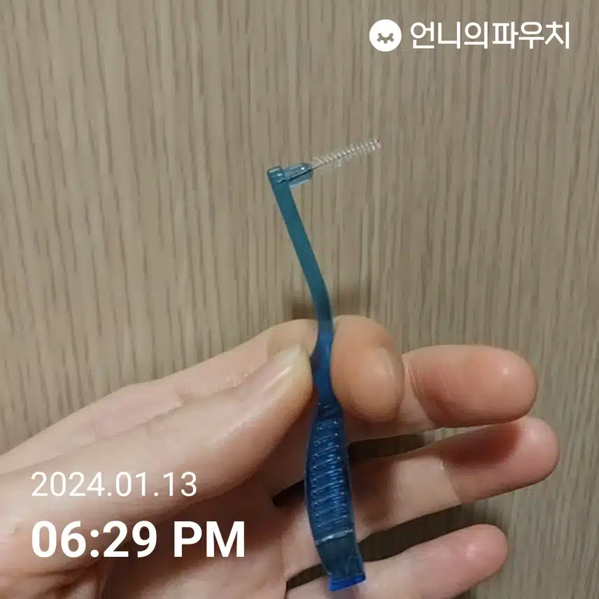 치간치솔