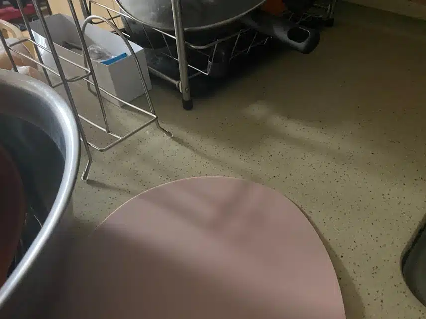 캐시딜에서 구매한 나의 가성비 아이템