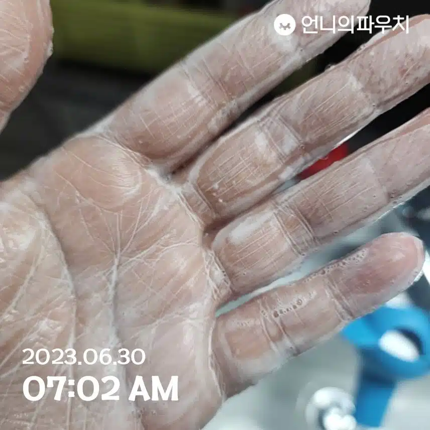 센카퍼펙트휩
