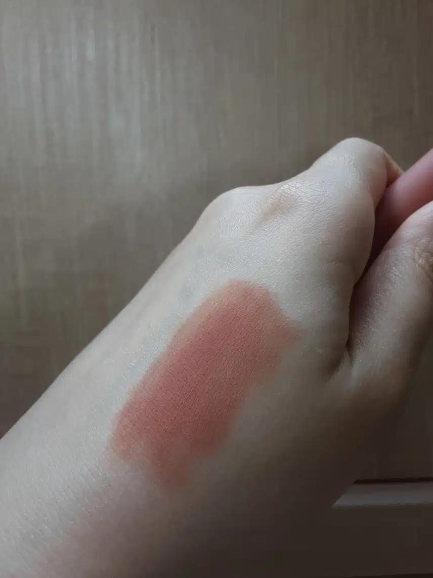 내돈내산 자연스러운 베이지 매트 립
